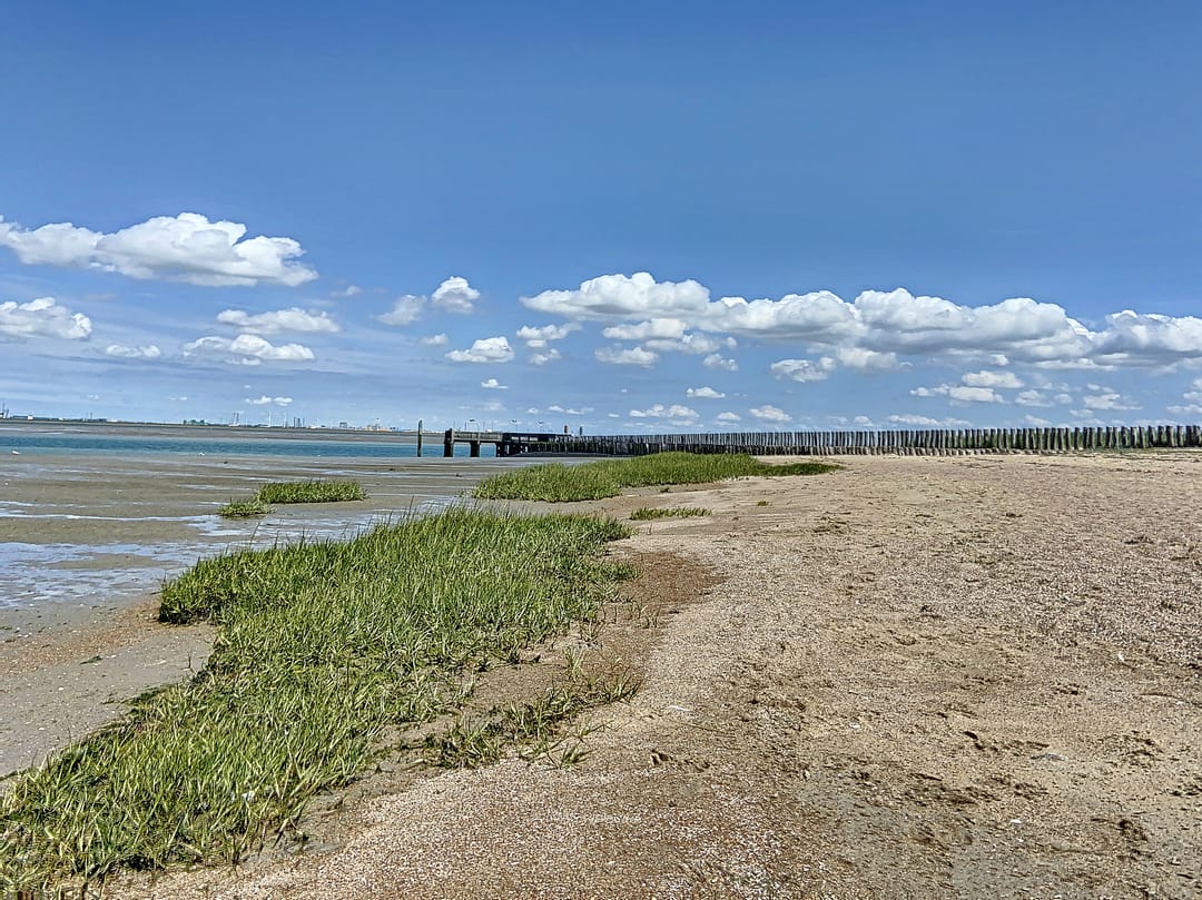 Foto 11 van Koningin Julianastraat 27