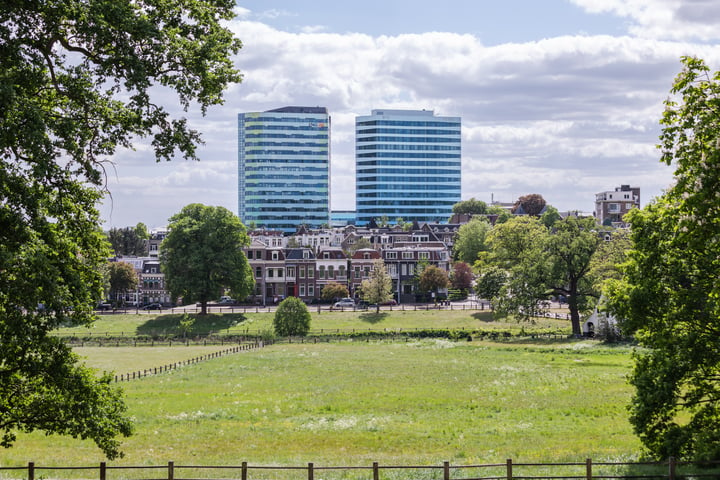 Bekijk foto 43 van Jansbinnensingel 20-2