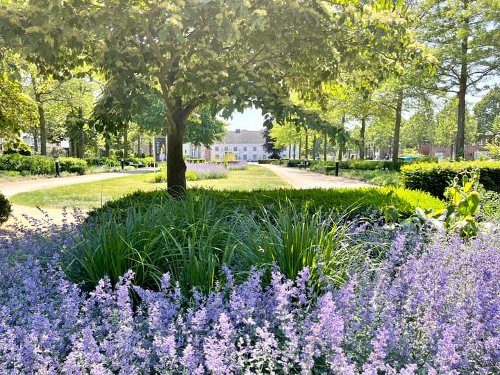 Foto 42 van Dommelrodelaan 13-H