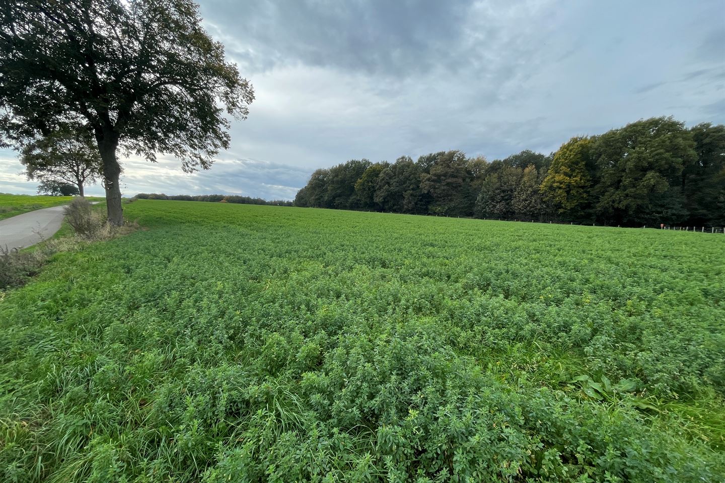 Bekijk foto 5 van Pannisbergweg