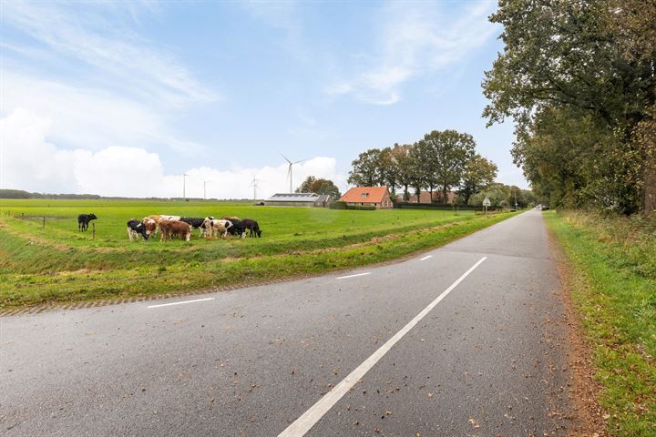 Bekijk foto 58 van Driehoekweg 10