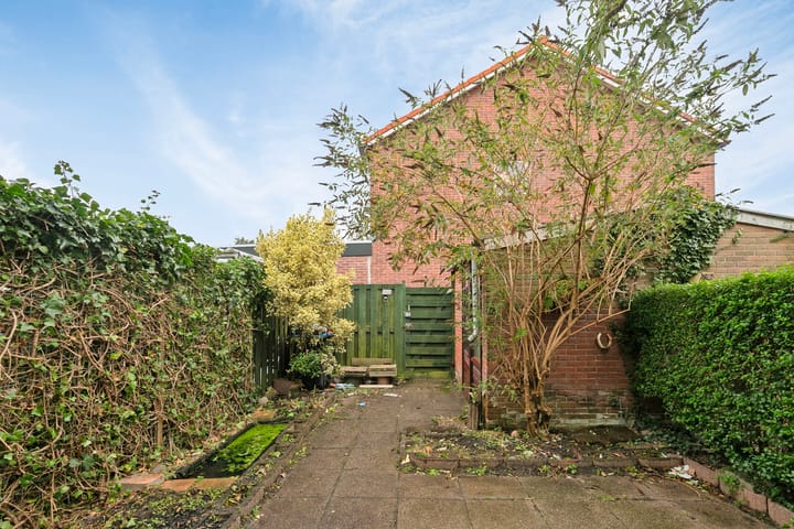 Foto 27 van van Alkemadelaan 65