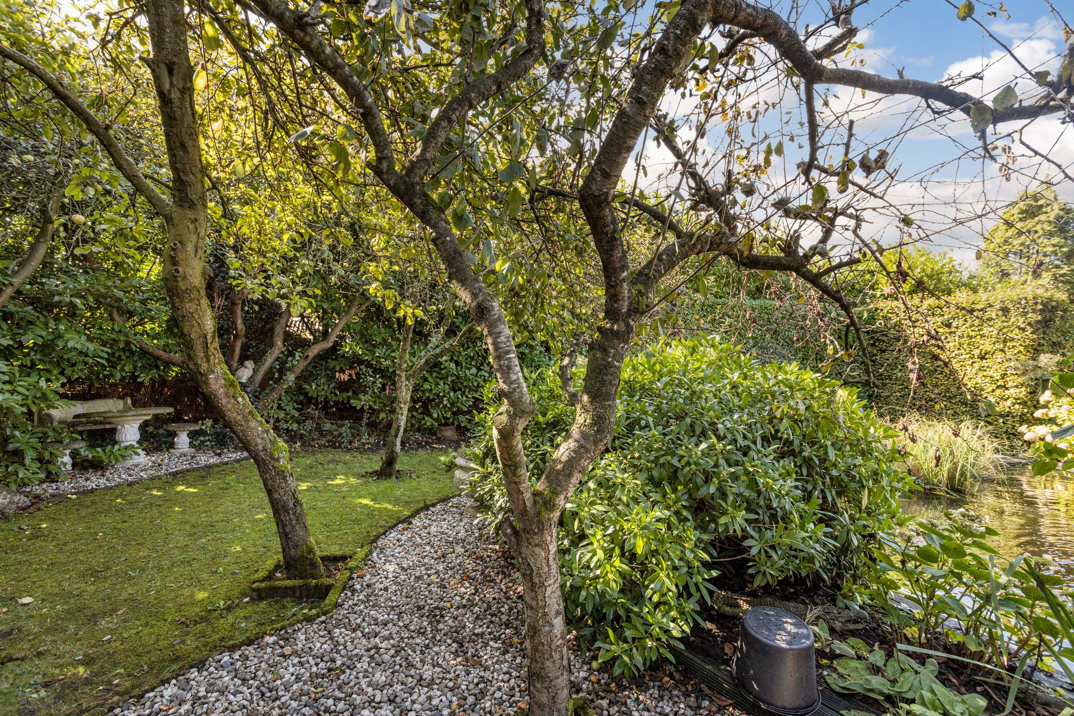 Foto 45 van Schepperbuurt 16