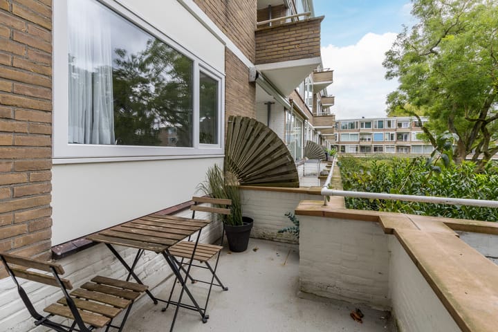 Foto 26 van Meander 203