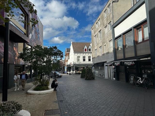 Photo 3 of Dr. Poelsstraat 5