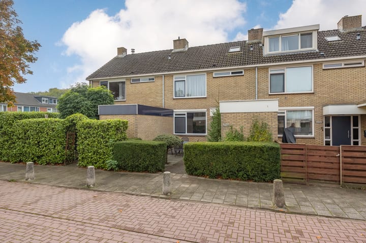 Foto 36 van Graan voor Visch 17002