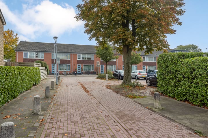 Foto 43 van Graan voor Visch 17002