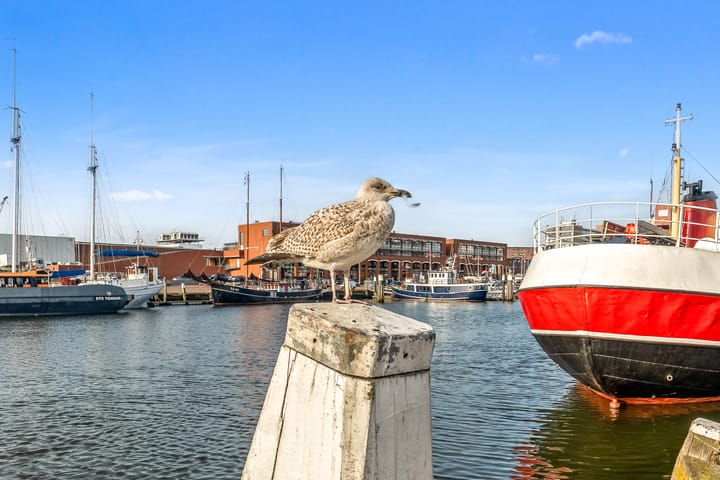 Photo 32 of Westduinweg 154-B