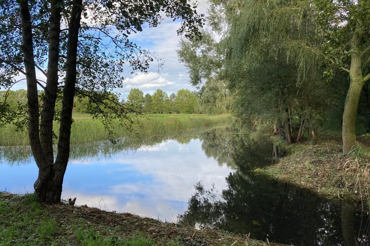 Bekijk foto 3 van Vanenburgerallee