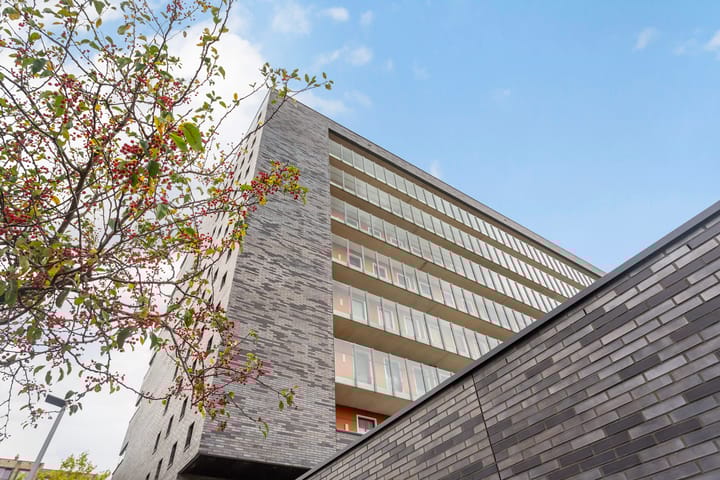 Foto 4 van Laan op Zuid 668