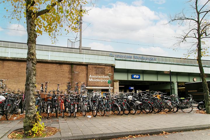 Bekijk foto 18 van Pieter Vlamingstraat 13-C