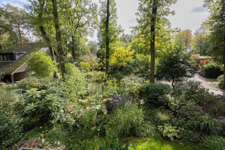 Foto 26 van Looërmark 74