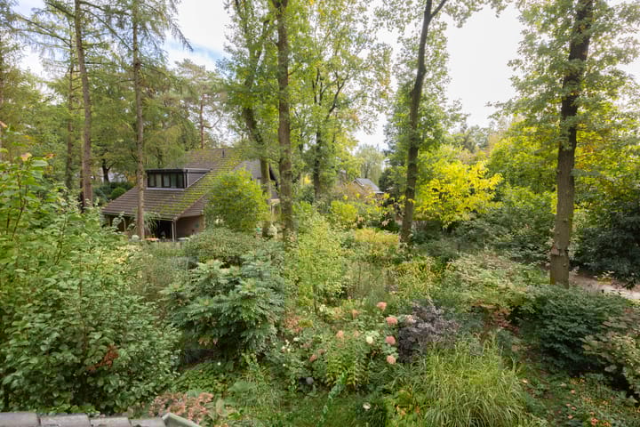 Foto 31 van Looërmark 74