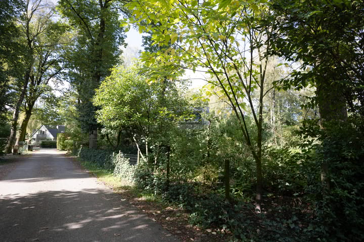 Foto 39 van Looërmark 74