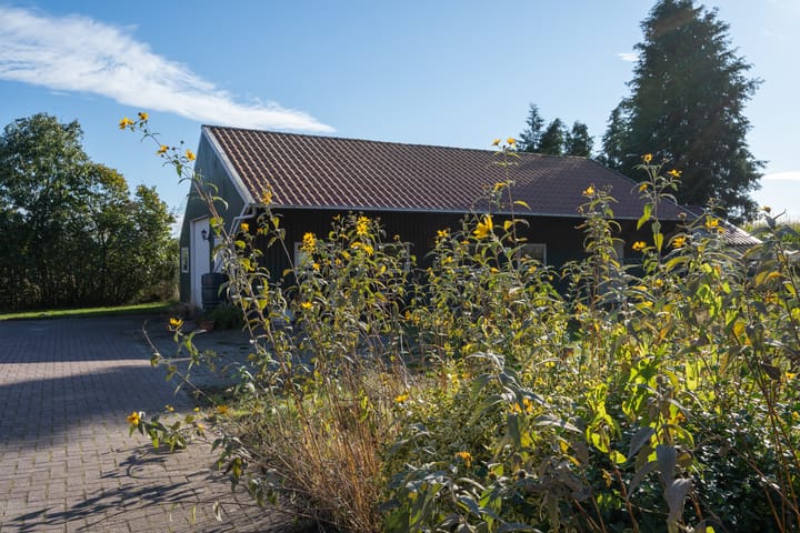 Photo 48 of Oranjekanaal N.Z. 24