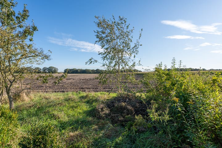 Photo 54 of Oranjekanaal N.Z. 24