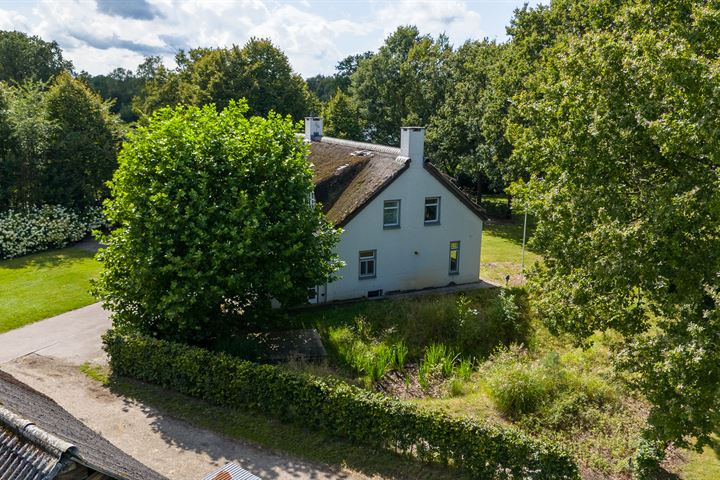 Bekijk foto 46 van Witrijtseweg 18