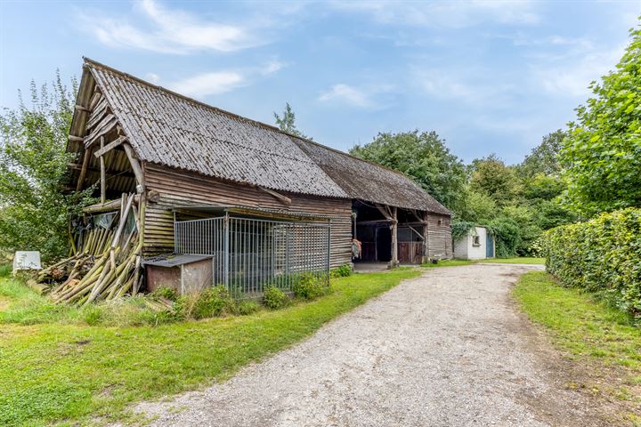 Bekijk foto 51 van Witrijtseweg 18