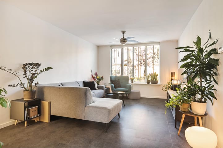 Foto 8 van Tjalk 19 35