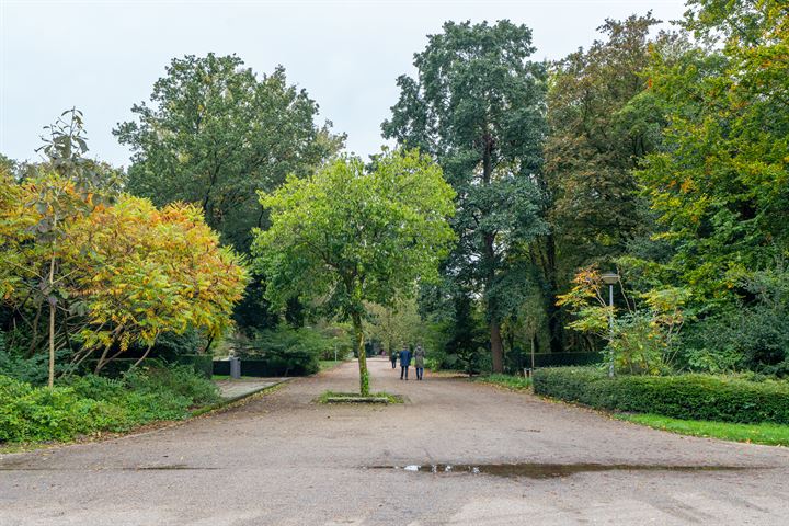 Bekijk foto 36 van Weerdestein 146