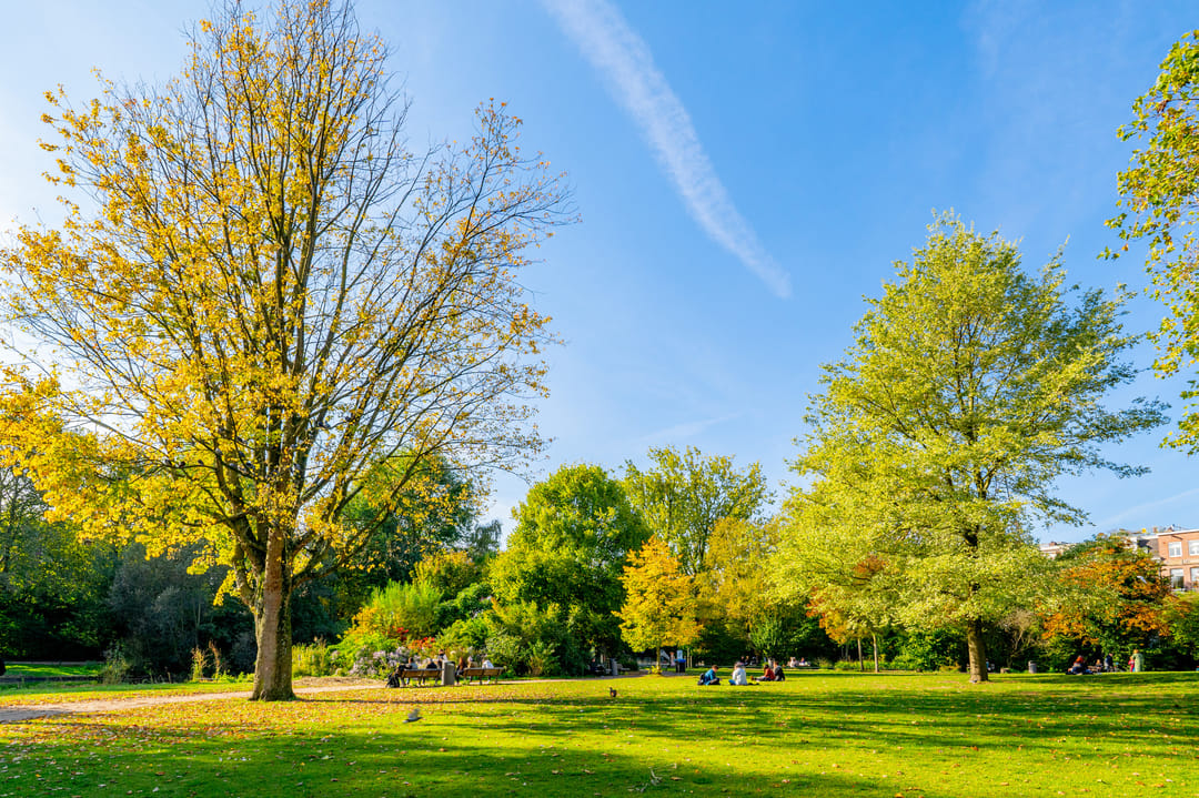 Foto 46 van Rustenburgerstraat 350-3