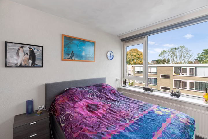 Photo 15 of Schalkeroord 157