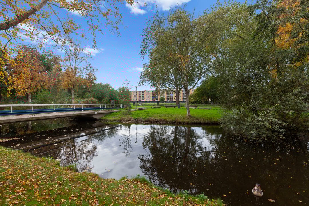 Photo 22 of Schalkeroord 157