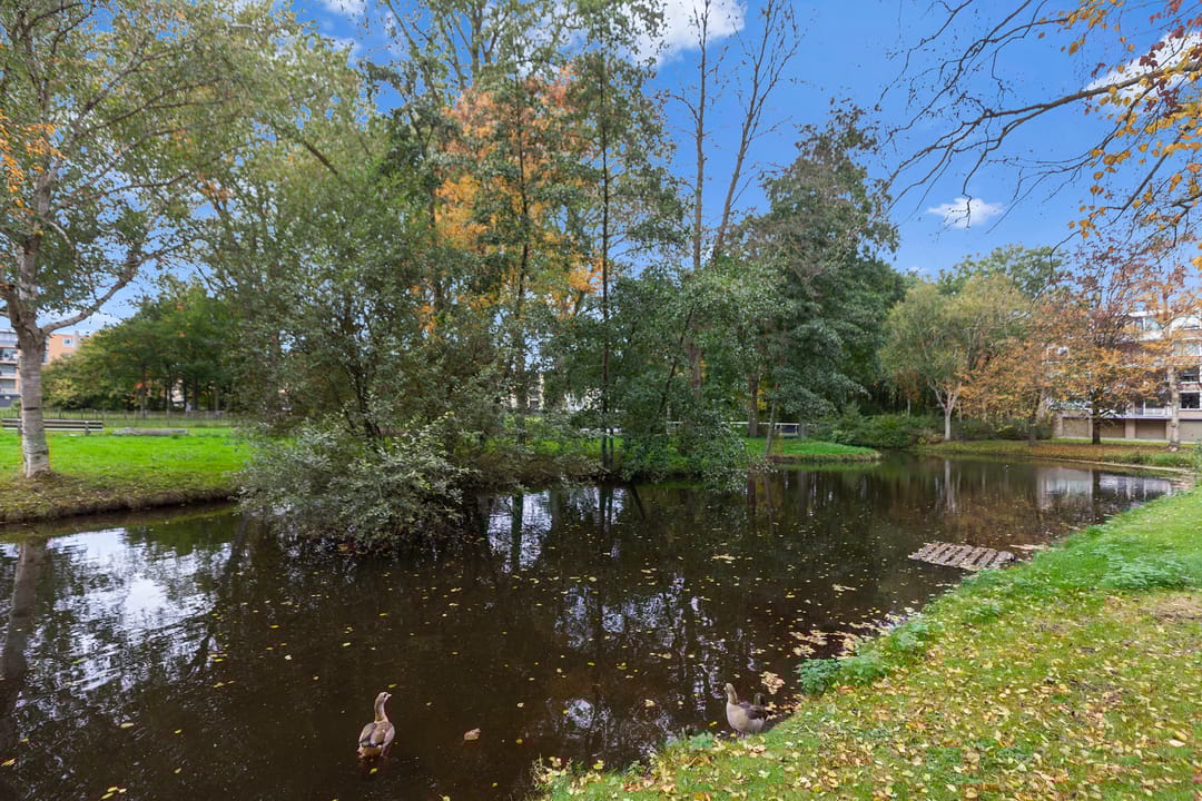 Photo 23 of Schalkeroord 157