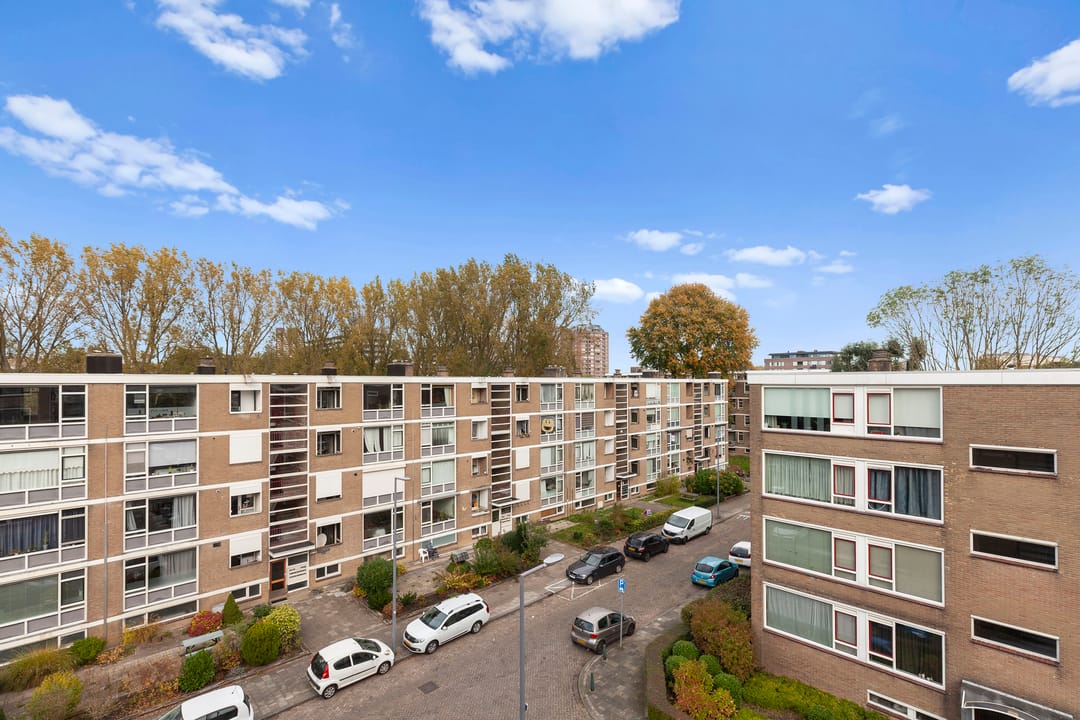 Photo 28 of Schalkeroord 157