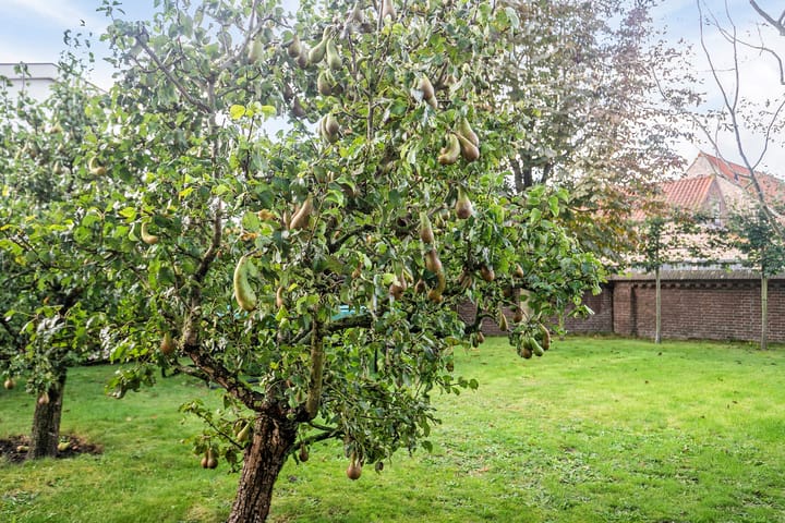 Foto 35 van Schuitvlotstraat 15