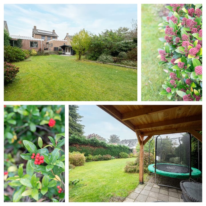 Foto 19 van Pastoor van Breugelstraat 75-C