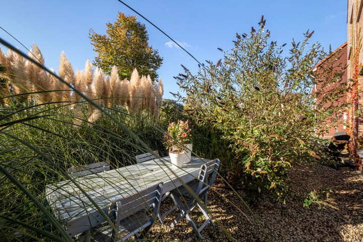 Foto 12 van Grote Biesem 2