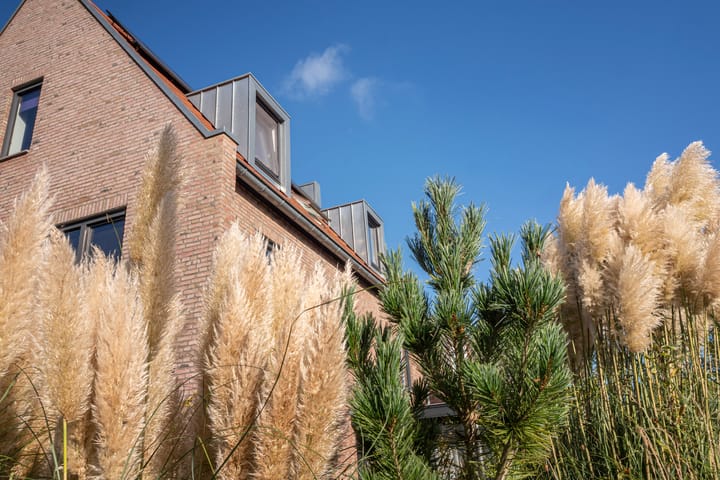 Foto 13 van Grote Biesem 2