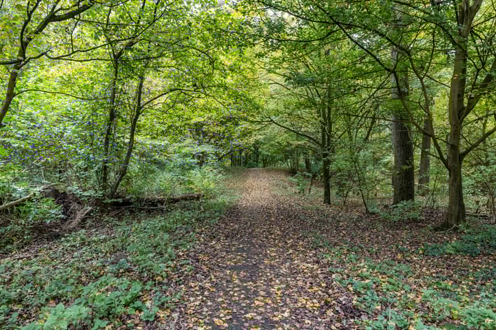 Foto 35 van Jacob Schorerstraat 33