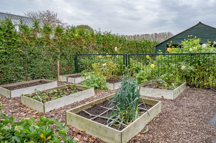 Photo 17 of Den Elterweg 111