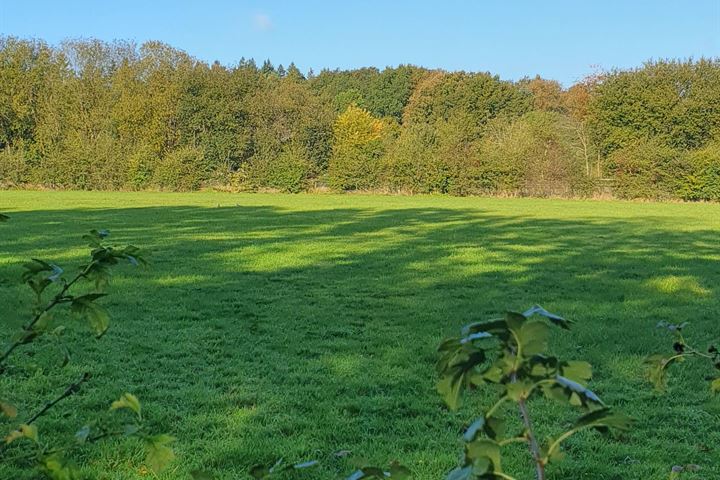 Bekijk foto 2 van Vinkenkamp - Condor