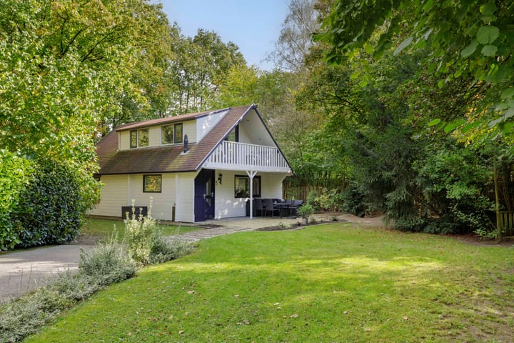 Foto 1 van Hyacinth 132