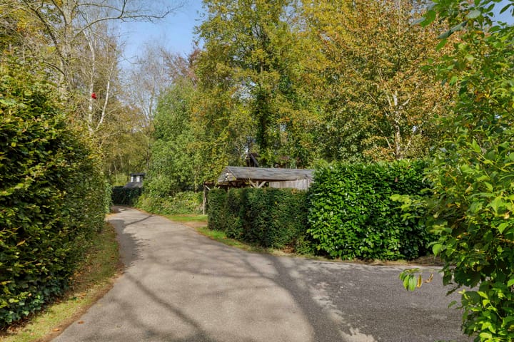 Foto 6 van Hyacinth 132