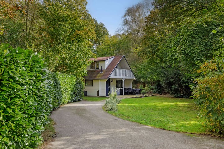 Foto 8 van Hyacinth 132