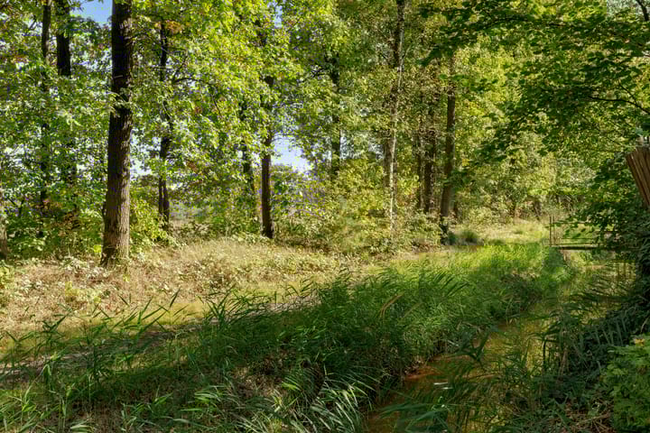 Foto 39 van Hyacinth 132