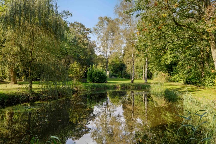 Foto 40 van Hyacinth 132