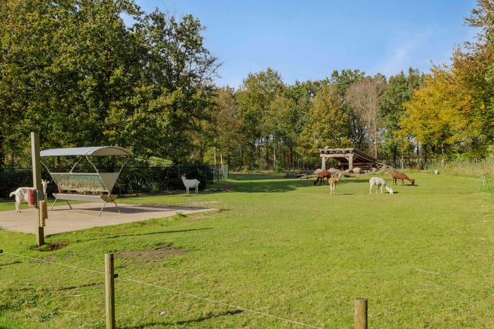 Foto 41 van Hyacinth 132