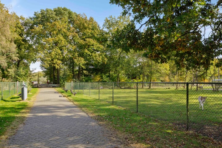 Foto 42 van Hyacinth 132