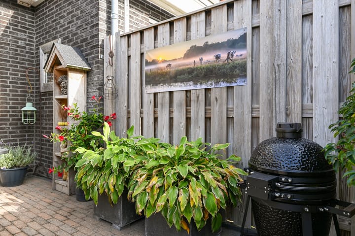 Foto 48 van Bollengoed 43