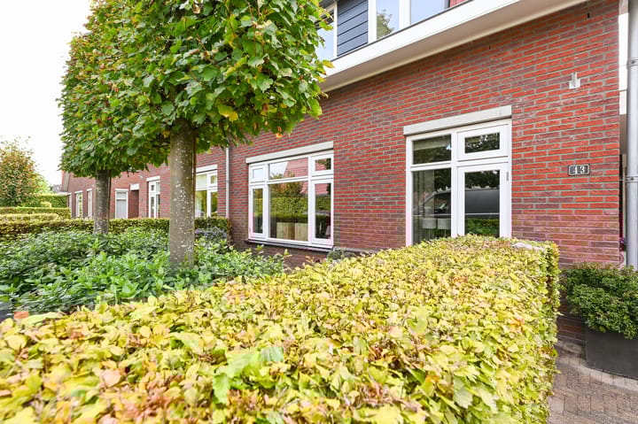 Foto 56 van Bollengoed 43