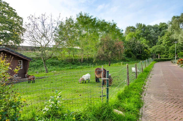 Foto 30 van Engelmanstraat 16