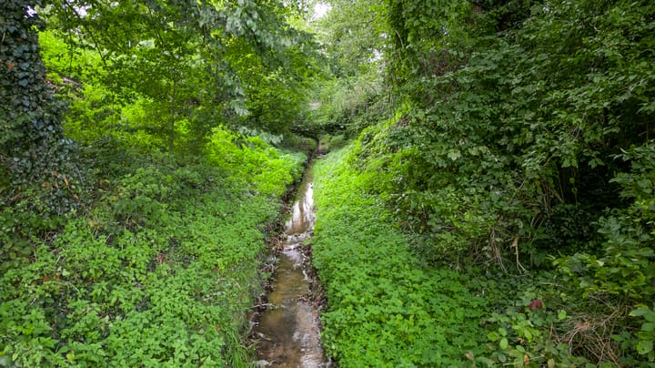 Foto 42 van Engelmanstraat 16