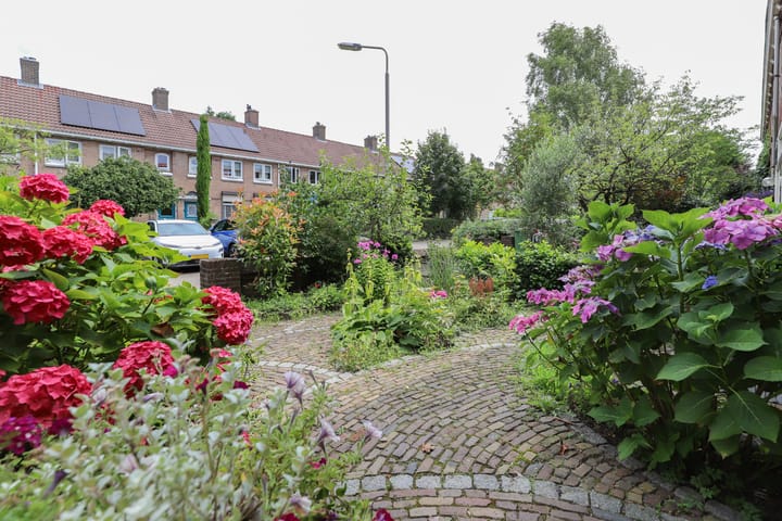 Foto 61 van Abeelstraat 10