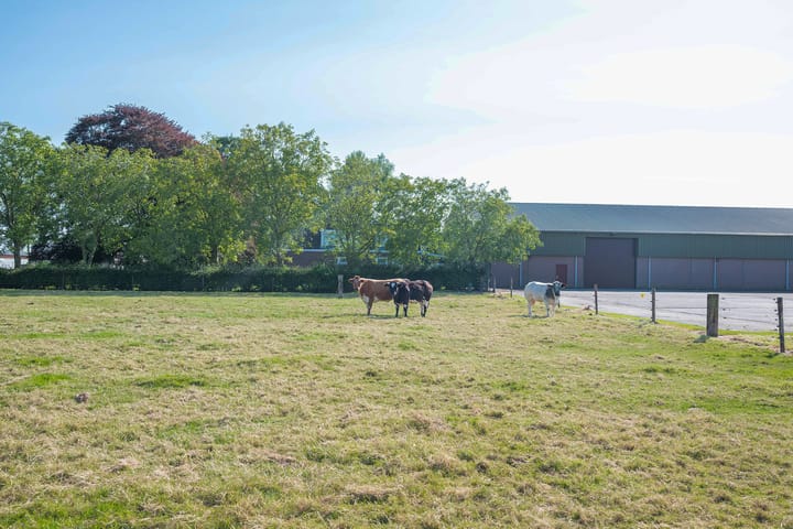 Foto 10 van Rijnlanderweg 787