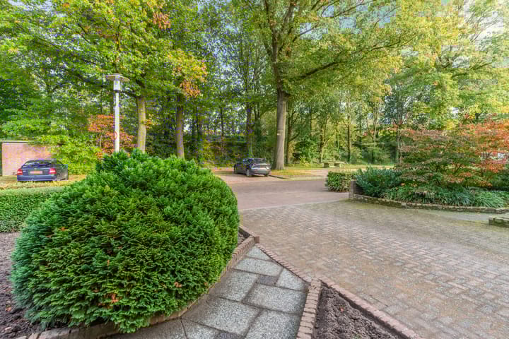 Foto 49 van Cantorij 11